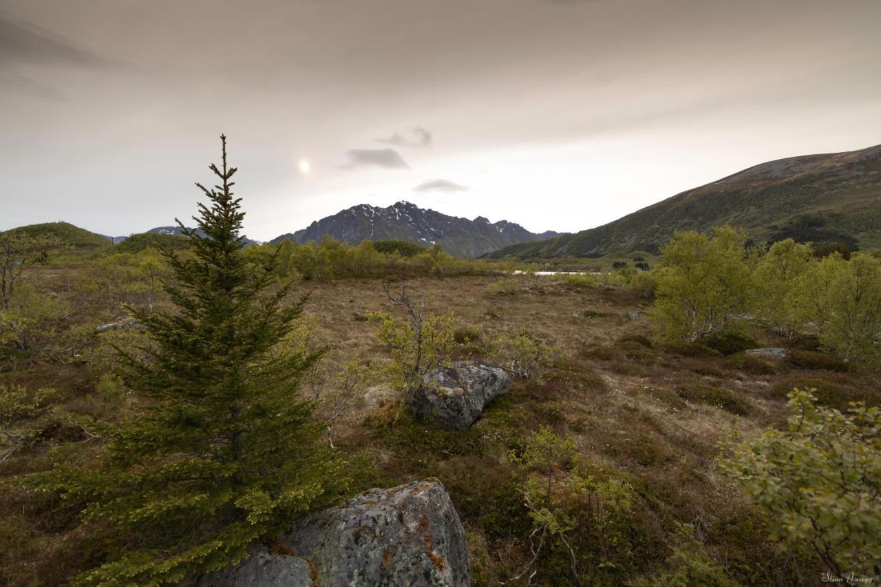 Villa Haugteig à Lyngværet Extérieur photo